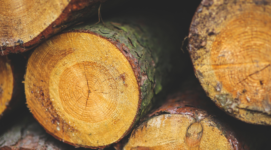 el consumo responsable de madera impulsa la descarbonización global el consumo responsable de madera impulsa la descarbonización global