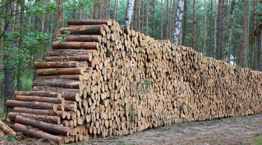 huella de carbono positiva de la madera
