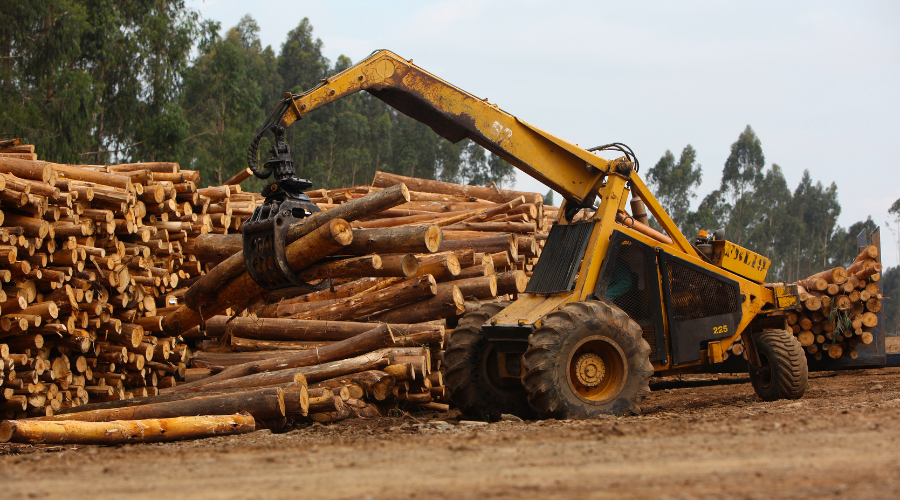 prevención de incendios forestales