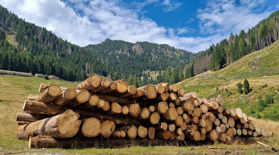 usar madera ayuda a prevenir incendios forestales